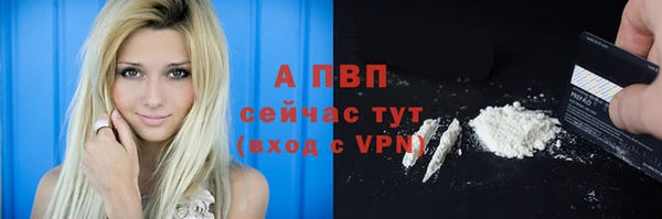 a pvp Горняк