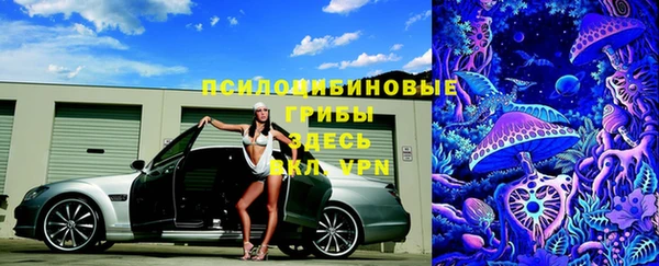 меф Гусь-Хрустальный