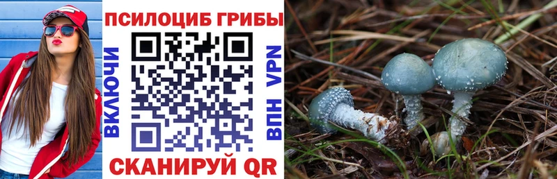 сколько стоит Духовщина Псилоцибиновые грибы ЛСД